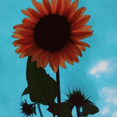 SONG OF JOY AND HAPPINESS