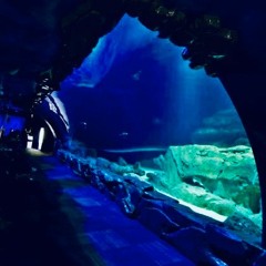 aL$hit 5 (prod. by Kasino)