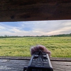 Field Recording: Urban noise in a tube2