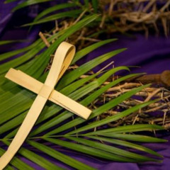 Homily - Palm Sunday 2025