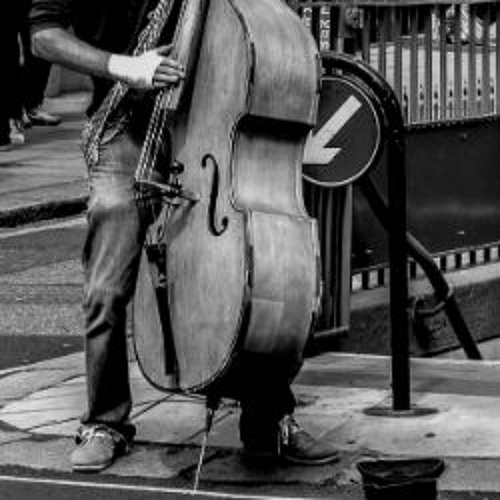 "Octobass pitched" #STBB853