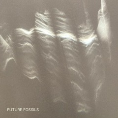 Future Fossils - Pulsation In C Minor