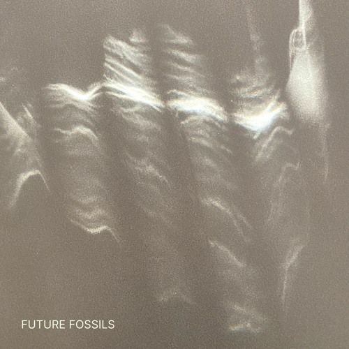 Future Fossils - Pulsation In C Minor