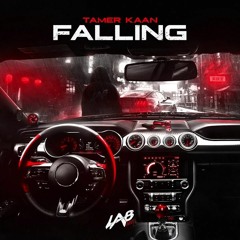 Tamer Kaan - Falling