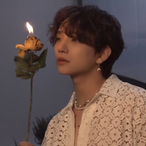 joshua of seventeen (세븐틴) - double take