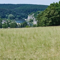 Wind blowing through dry grass.