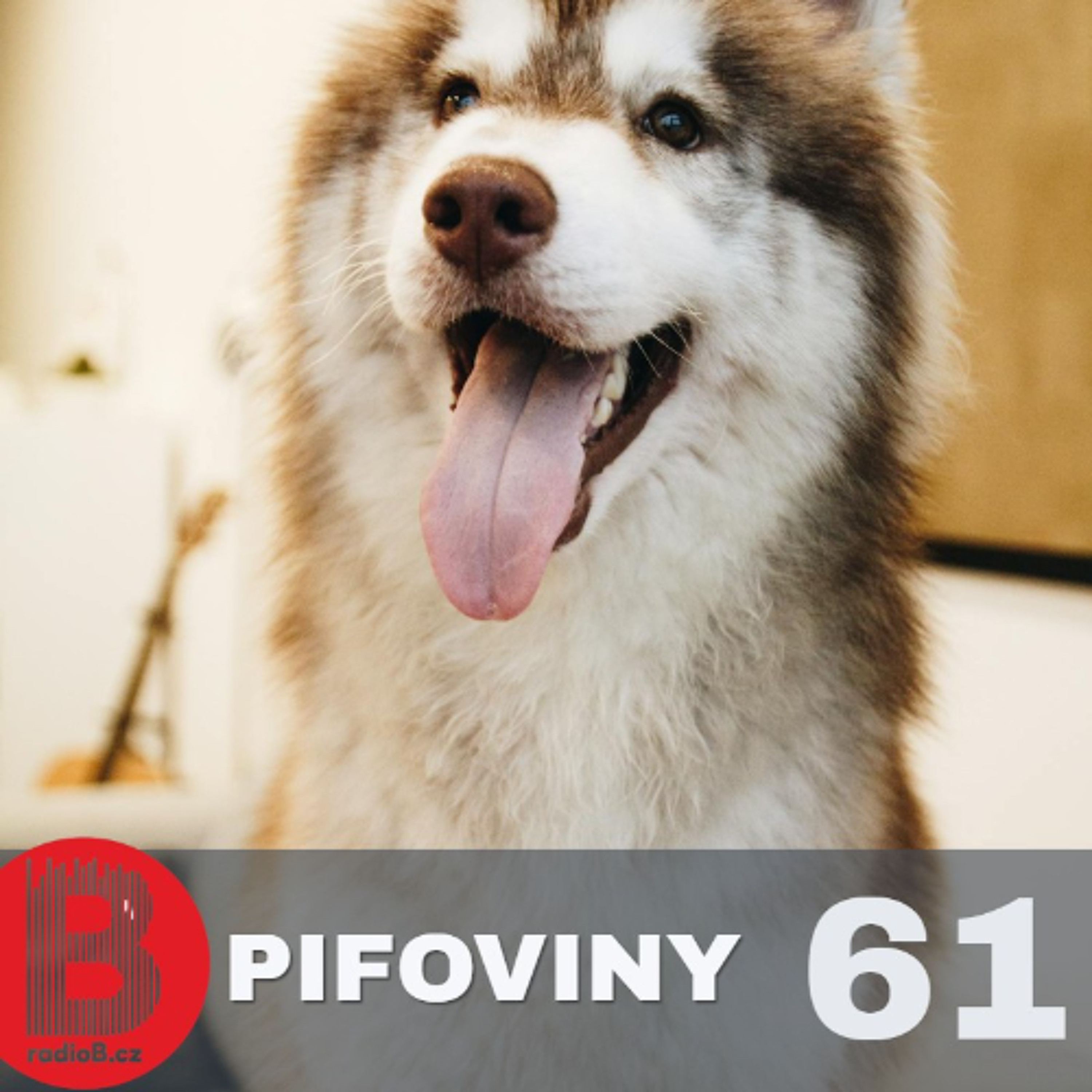 Pifoviny #61 Soulful August episode artwork