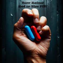 Herr Rainer // Red or Blue Pill? // Techno #8