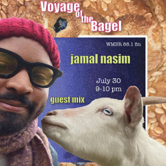 WMBR 88.1 Voyage of the Bagel Guest Mix 7/30/2025