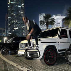 BISCAYNE FREESTYLE