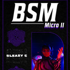 BSM Micro II