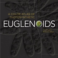 Get PDF 📃 A Color Atlas of Photosynthetic Euglenoids by  Richard E. Triemer &  Ionel