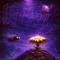 Wither or not? —Hypnotic Raw Peaktime—