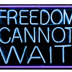 TZ Projects' Visions in Light: Windows on the Wallis by DJ Chris Holmes mix