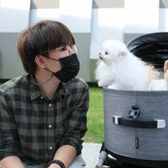 (Cover) พี่ๆ ตัดแว่นให้หน่อย - SERIOUS BACON | ZeGee