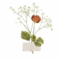 Lasso, Cami - Odio Que No Te Odio |  Piano Acustico / Cover