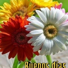 Imágenes De Un Día De Amor