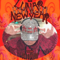 bloodz boi 血男孩 - nts radio - lunar new year - 01.02.25