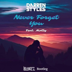 Darren Styles Feat. Molly - Never Forget You (LeaNicz Bootleg)