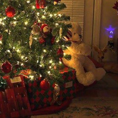 I can’t wait for this Christmas