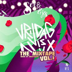 SOEPELTJES THE DUTCH MIXTAPE 2023 (PROMO LIVE SESSION)