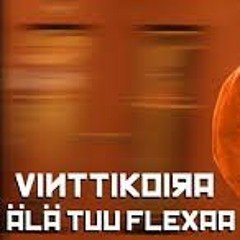 Vinttikoira - Älä Tuu Flexaa (Zuwando Kädet Ylös Remix)