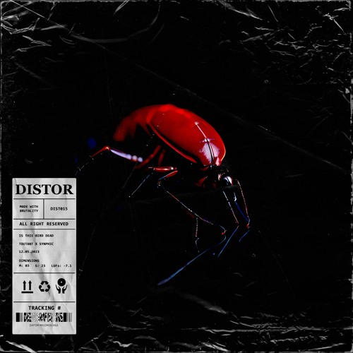 TOUTANT X Synphic - is this bird dead