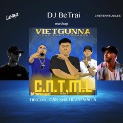 Tibicon ft. Deagle and Dub P X Cheyenne Giles & Levex - CĂN NHÀ TRANH MÁI LÁ (DJ BeTrai mashup)