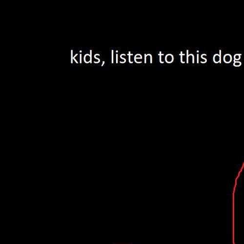 kids, listen to this dog