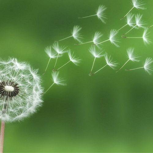 Lướt sóng đập may - Oanh ta .mp3