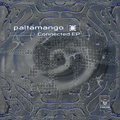 02 paltamango - Pajaritos Terminal