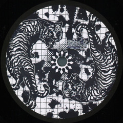 Premiere : Marko Nastic - Que Rico (SLS005)
