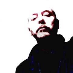 P I G S    T A L K    C A T S    F L Y