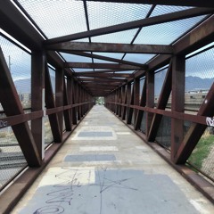 EVERYONE DIES IN THE END