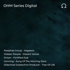 :NEW TUNE: Oldschool_Dubtechno .Producer - Tree of Life [OHM015D]