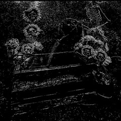muerte - skull garden ($TG flip)