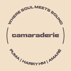 Camaraderie (Puma, Harry HM & Amaré) @ Mad Radio Miami [Deep House ALL Vinyl] - Sep 14_2024