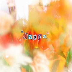 Nappa 나빠