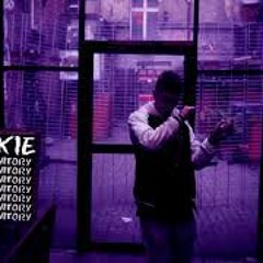 VKIE - MONITORY