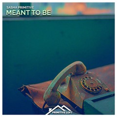 Sasha PRimitive - Meant To Be