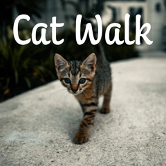 Cat Walk