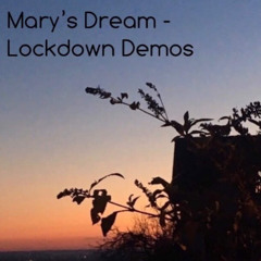 29 - Lockdown Demos