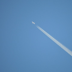 flight