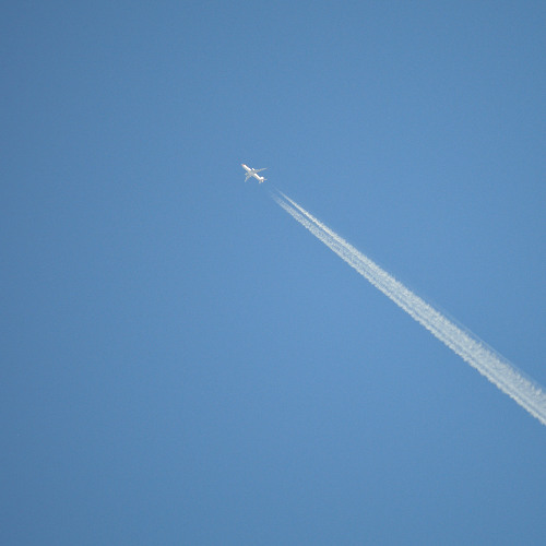 flight