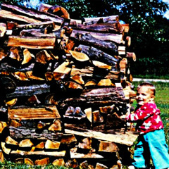 "Wood" *SoundCloud Exclusive*
