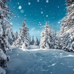 Dima: Metelitsa (Blizzard)
