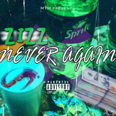 Zizz - Never Again mix