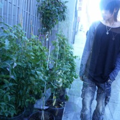 encouragement of climb