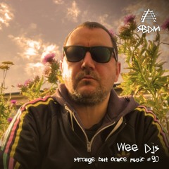 Strange But Dance Music #90: Wee DJs