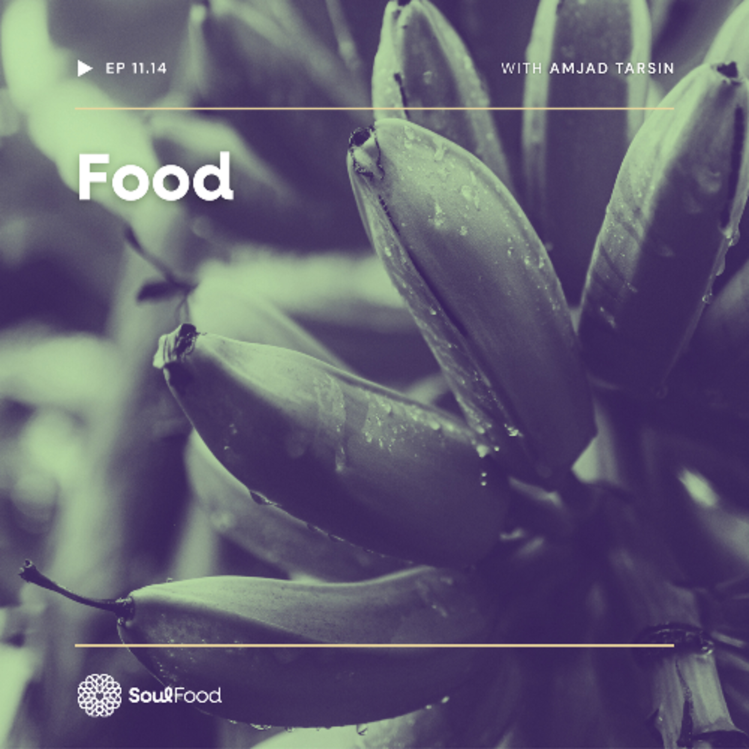 Episode 11.14 - Food